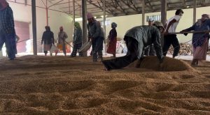 सरकारी कार्यालयमै श्रमिक सामाजिक सुरक्षा कोषबाट बञ्चित हुँदा समस्या